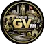 Logo Radio Fm Gv