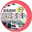 Logo Radio Sena Gospel