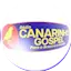 Logo Radio Canarinho Gospel Chapao Bonito