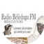 Logo Beledougou FM 2