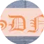 Logo SDN Radio
