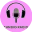Logo Candid Radio New Hampshire