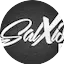 Logo La Salxisa