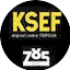 Logo KSEF-DB 785Live
