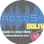 Logo RadioSat FM - Bolivia