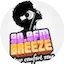 Logo Breeze 90.9
