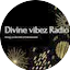 Logo DivinevibezRadio