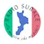 Logo Radio Surace