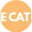 Logo The Cat