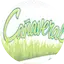 Logo Cañaveralfm