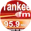 Logo Yankee Fm