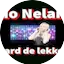 Logo Radio Nelandia