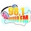 Logo Sucesso FM 98.1