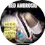 Logo Red Ambrosio