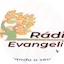 Logo Rádio Evangeliza Web