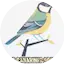 Logo Rede Canarinho Gospel