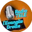 Logo Radio Téle l'Evangile Droite