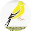 Logo Web Rede Canarinho Gospel