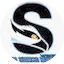 Logo Radio Sucesso Mundial