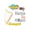 Logo Radio Harpa De Davi