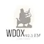 Logo WDOX 92.3 FM