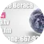 Logo Radio Tele Beraca RTB
