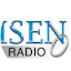 Logo Risen One Radio