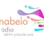 Logo Botshabelo Fm