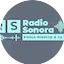 Logo Radio Sonora 93.3 Fm Quevedo