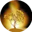 Logo Radio Flambeau De Jesus Christ