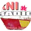 Logo RNI NorthSee International