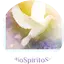 Logo Radio Spirito Santo