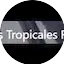 Logo Joyas Tropicales Radio