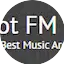 Logo Hot FM