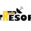 Logo RADIO TRESOR