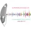 Logo Super Melody