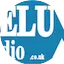 Logo Deluxmas