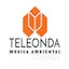 Logo Teleonda