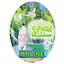 Logo Manantial de Vida Online