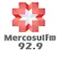 Logo Mercosul FM Curitiba