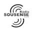 Logo Rádio Sousense 87.9 FM