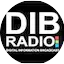 Logo DIB Radio