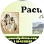 Logo Pacualy