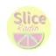 Logo Slice Radio