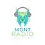 Logo Mont Radio (École Mont-Saint-Sacrement)