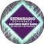 Logo Stern Radio