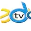 Logo Edo Online Radio