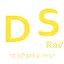 Logo DS Radio