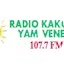Logo RADIO VENEGRE