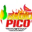 Logo Radio La Picosa